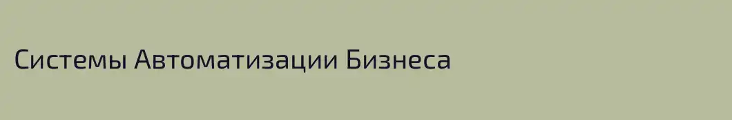 Системы Автоматизации Бизнеса